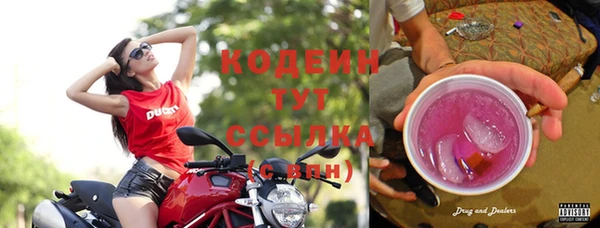 гашик Нея